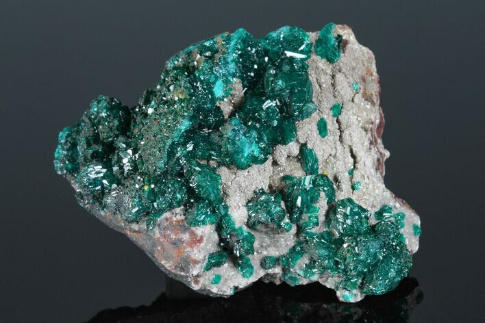 Gemmy Dioptase Crystal Cluster - N'tola Mine, Congo #175945